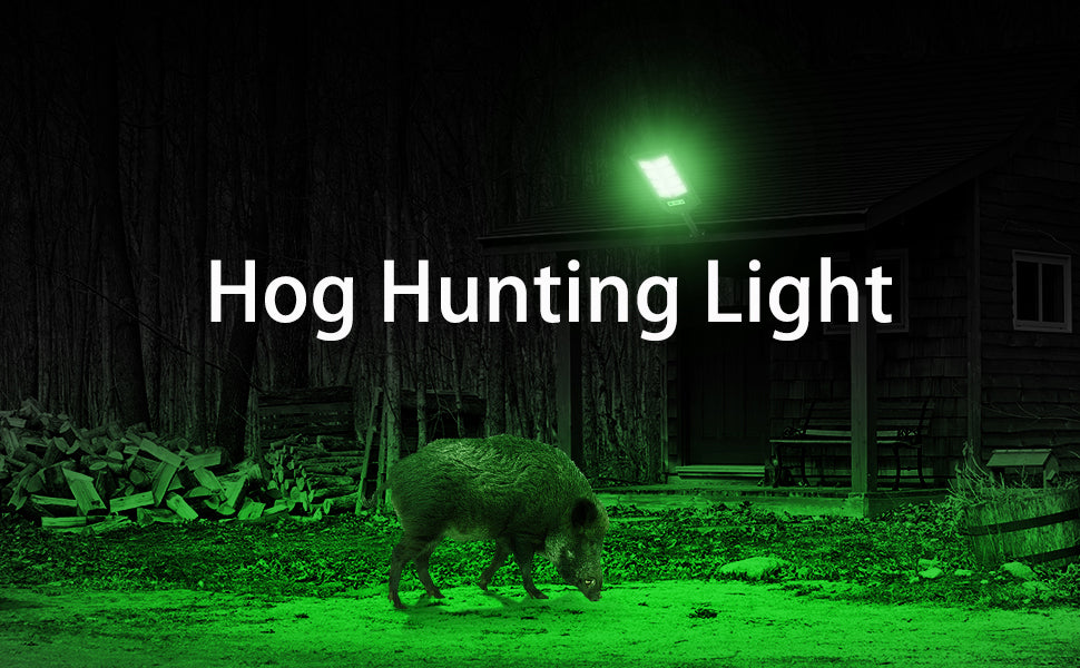What Colour Hog Hunting Light Do I Need?