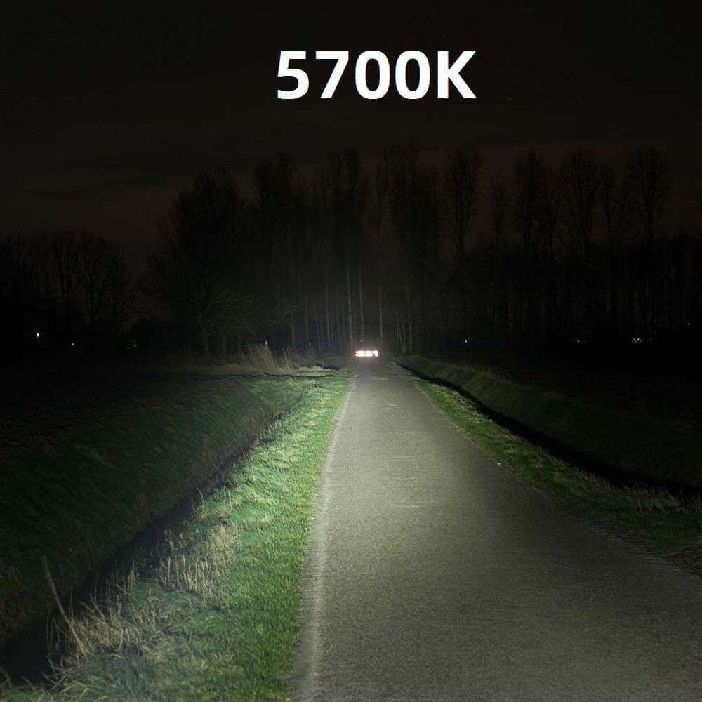 Weltool LH8 Weaponlight head