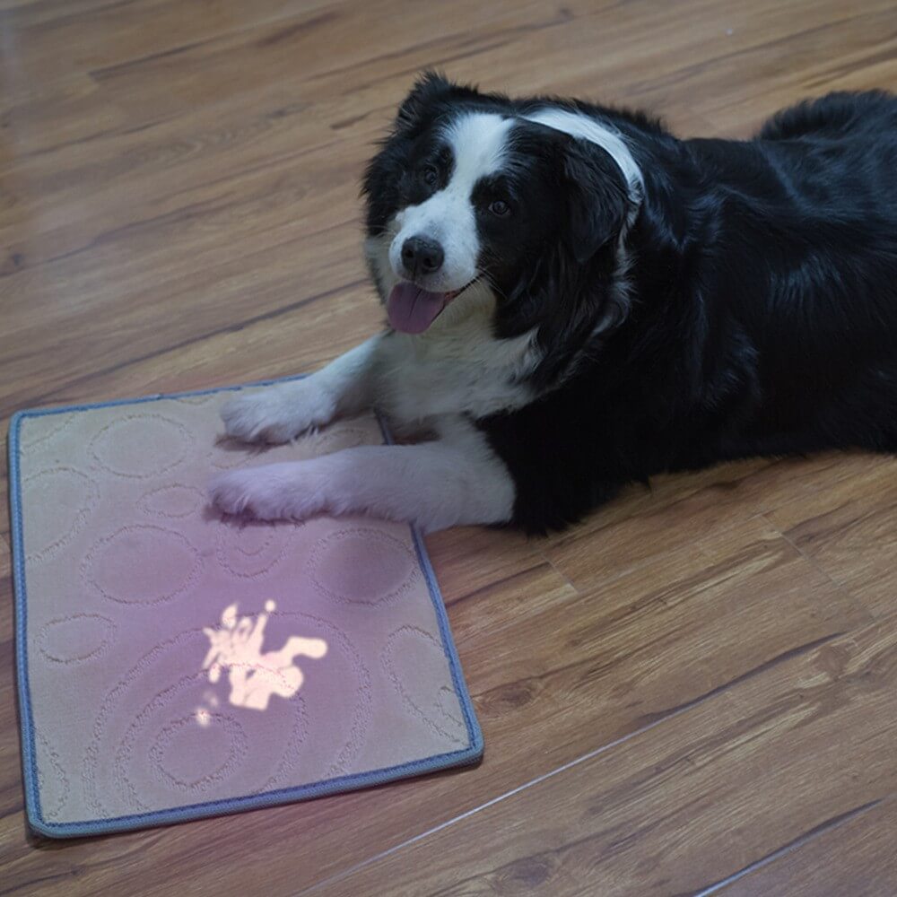 Weltool M2-OL "Purple Beard" UV 365nm Professionelle LED-Taschenlampe