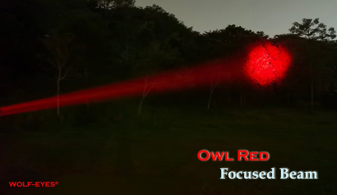 Wolf Eyes Owl Color Zoomable Flashlight