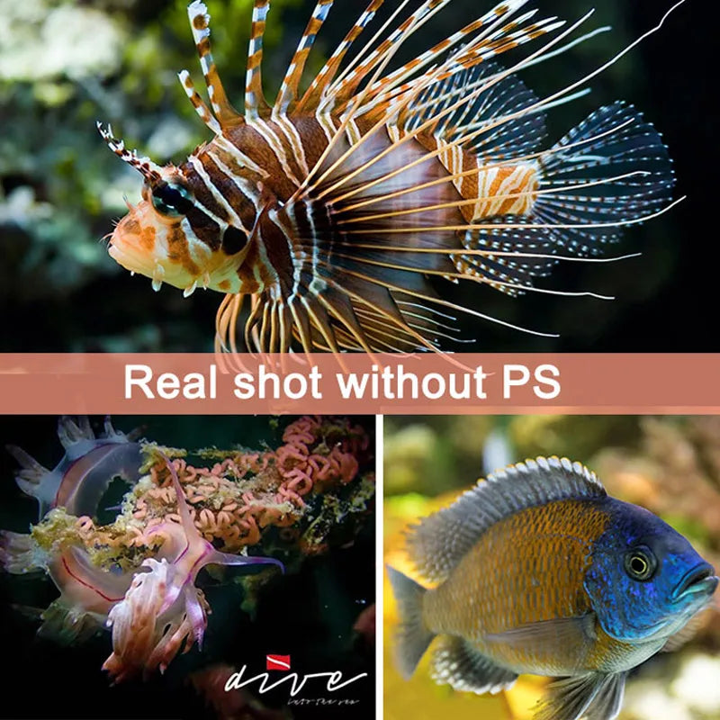ARCHON S14V 5000K Scuba diving video light