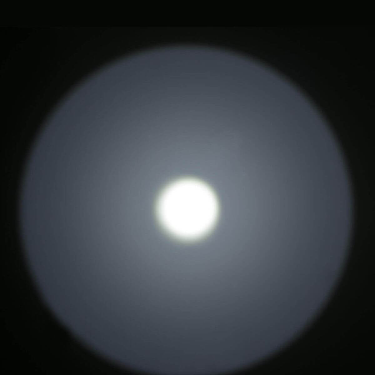 Weltool LH1 CW Lichtkopf für Waffenlichter