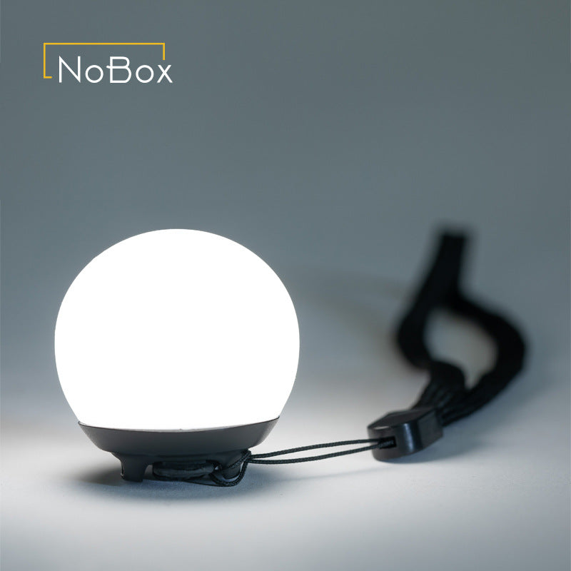 Barebones NoBox Mini Globe Light