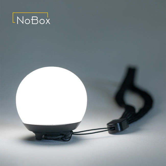 Barebones NoBox Globe Light