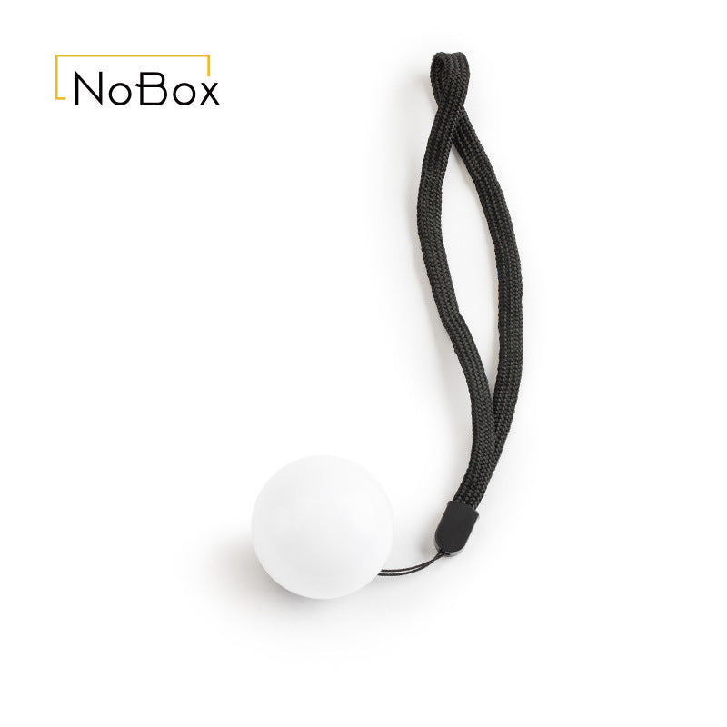 Barebones NoBox Mini Globe Light