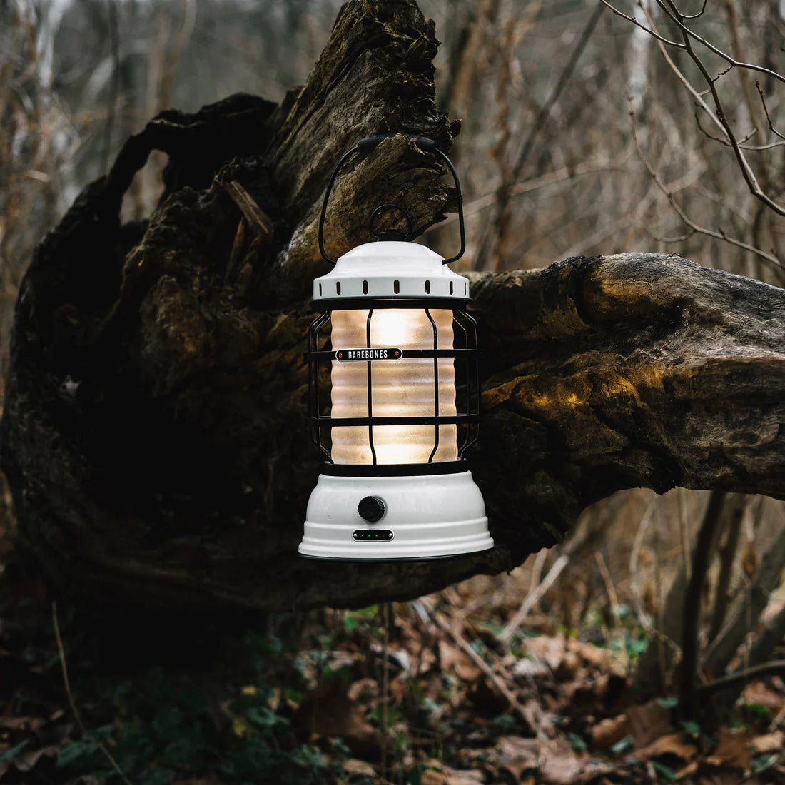 Barebones Forest Camping Light Lantern with Adjustable Brightness