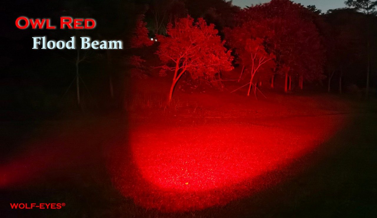 Wolf Eyes Owl Color Zoomable Flashlight