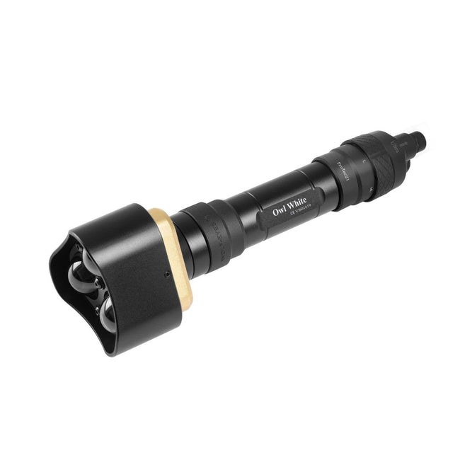 Wolf eyes  WOL White 3-White-LED Super Power Presettable Zoomable Flashlight